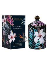 Аромасвеча в высоком стакане Stoneglow Cattleya Ylang Ylang (Каттлея и иланг-иланг)